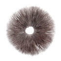 Psilocybe cubensis Ecuador -itiöpainanne