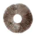 Psilocybe cubensis B+ -itiöpainanne