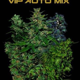 VIP Auto Mix (VIP Seeds) Feminisoidut