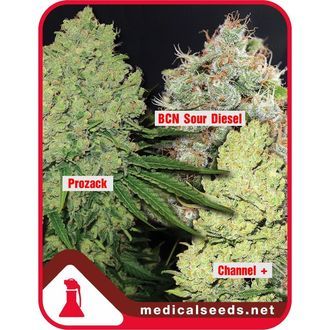 Kokoelma 1 (Medical Seeds) Feminisoidut