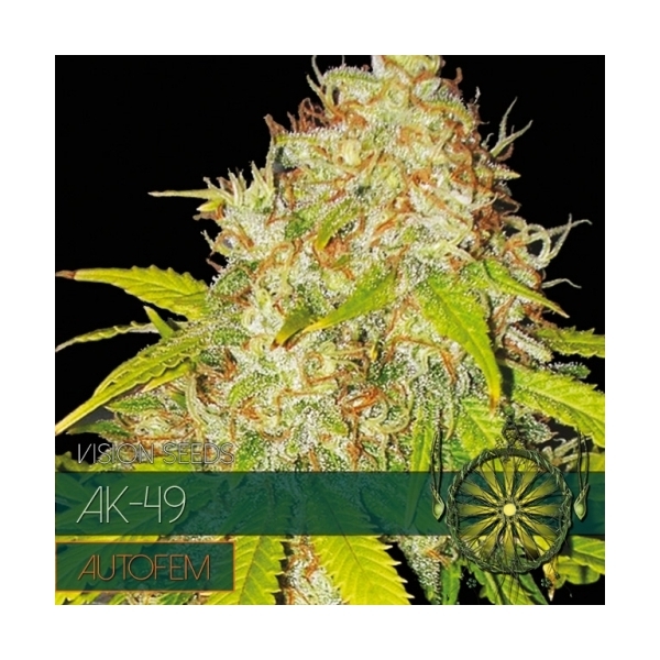 AK-49 Autoflower (Vision Seeds) Feminisoidut