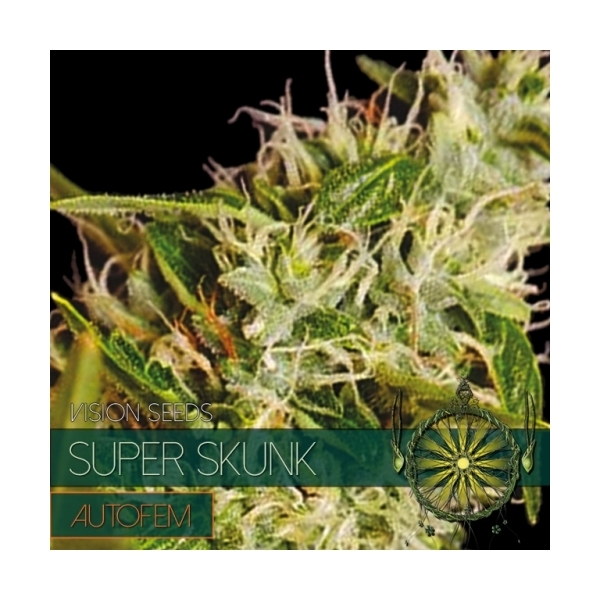 Super Skunk Autoflower (Vision Seeds) Feminisoidut