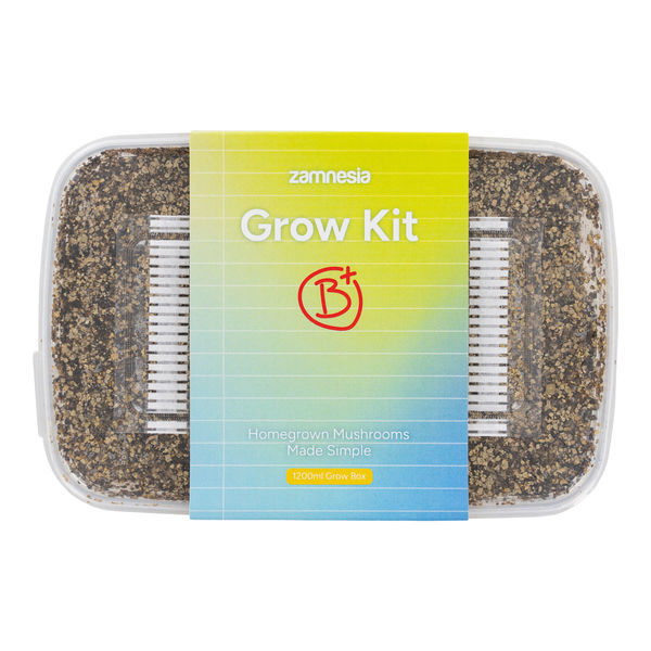Zamnesia Classic Grow Kit 'B+'
