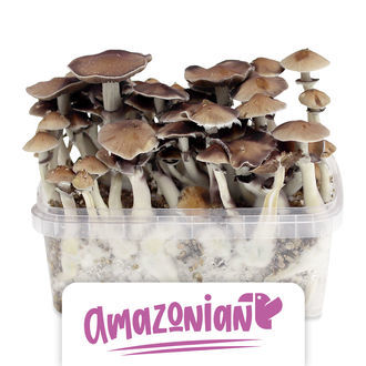 Zamnesia Classic Grow Kit 