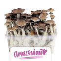 Zamnesia Classic Grow Kit "PES Amazonian"