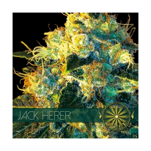 Jack Herer (Vision Seeds) Feminisoidut