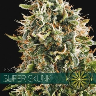 Super Skunk (Vision Seeds) Feminisoidut