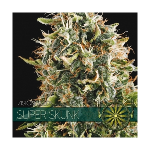 Super Skunk (Vision Seeds) Feminisoidut
