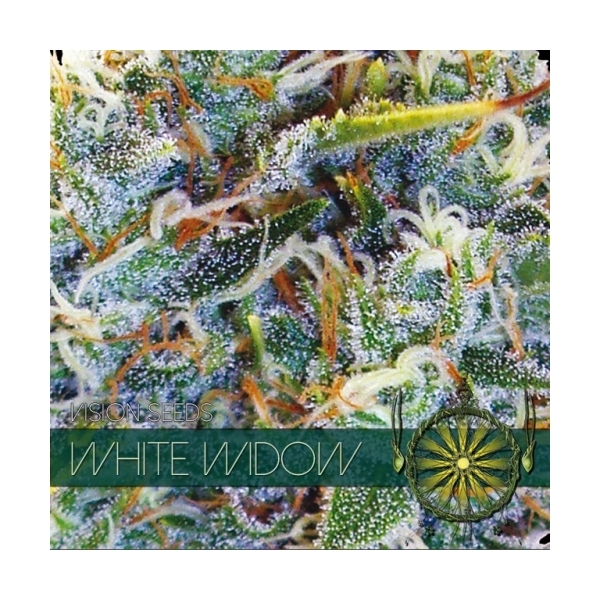 White Widow (Vision Seeds) Feminisoidut