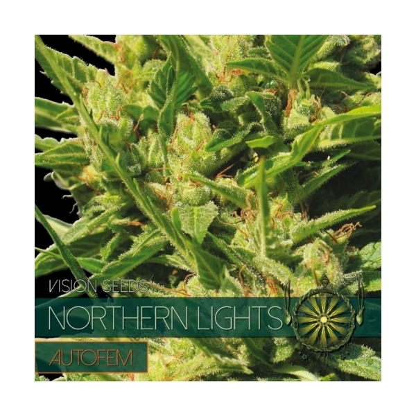 Northern Lights Autoflower (Vision Seeds) Feminisoidut