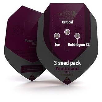 Feminisoidut Mix (Royal Queen Seeds)