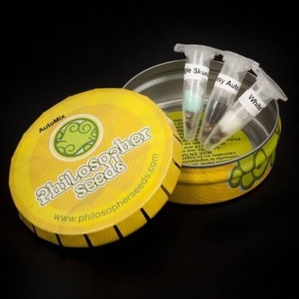 Auto Mix (Philosopher Seeds) feminisoitu