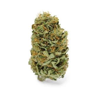Amnesia Haze (Zamnesia Seeds) Feminisoidut