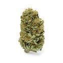 Amnesia Haze (Zamnesia Seeds) Feminisoidut