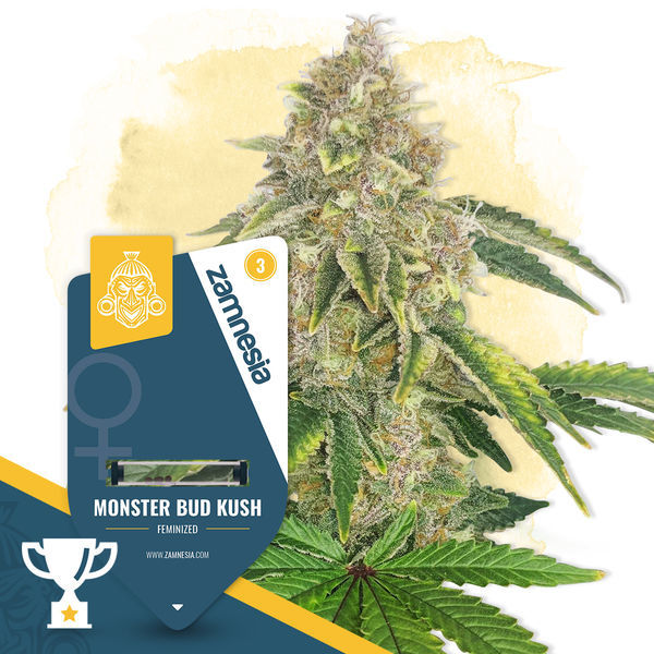 Monster Bud Kush (Zamnesia Seeds) Feminisoidut