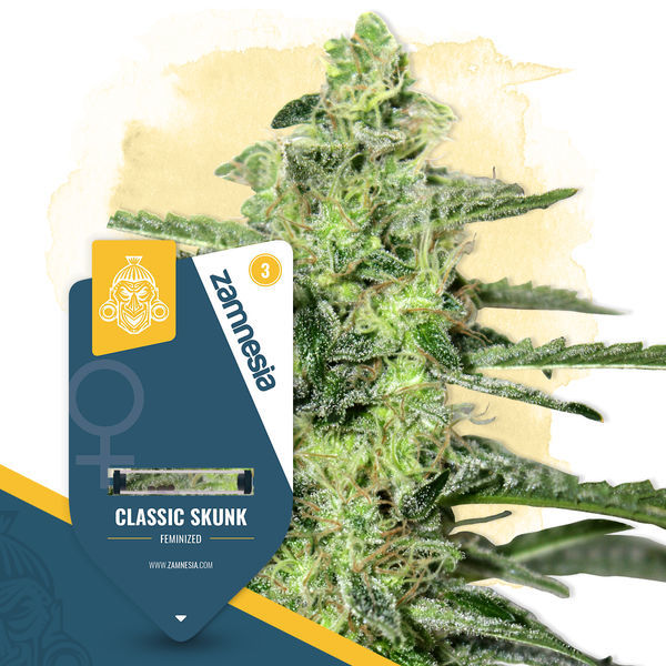 Classic Skunk (Zamnesia Seeds) Feminisoidut