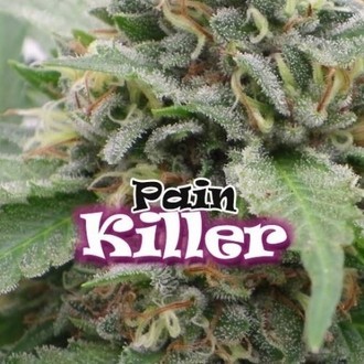 PainKiller (Dr. Underground) Feminisoidut