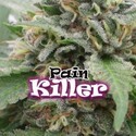 PainKiller (Dr. Underground) Feminisoidut