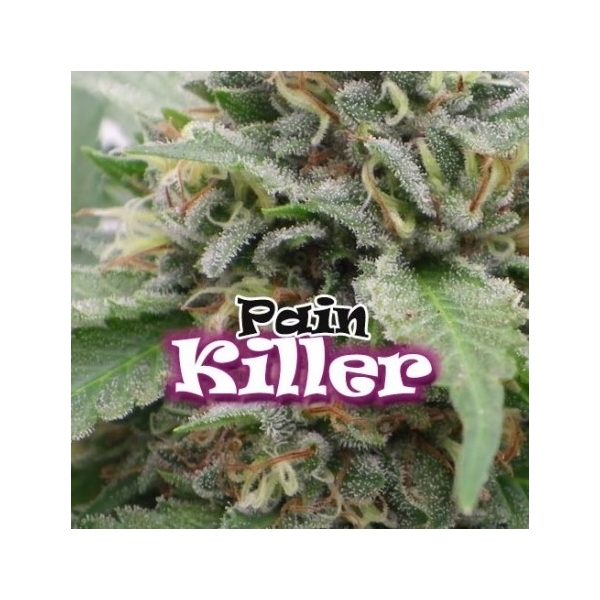 PainKiller (Dr. Underground) Feminisoidut