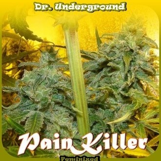 PainKiller (Dr. Underground) Feminisoidut