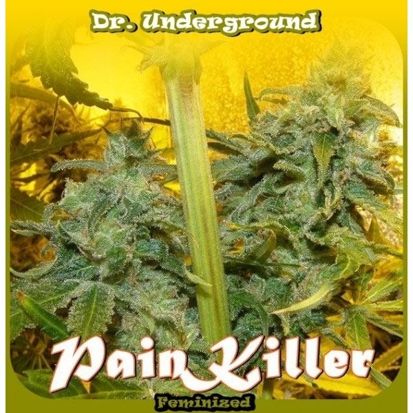 PainKiller (Dr. Underground) Feminisoidut