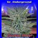 Brooklyn Mango (Dr. Underground) Feminisoidut