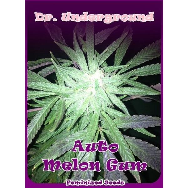 Auto Melon Gum (Dr. Underground) Feminisoidut