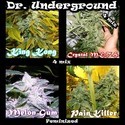 Surprise Killer Mix (Dr. Underground) Feminisoidut