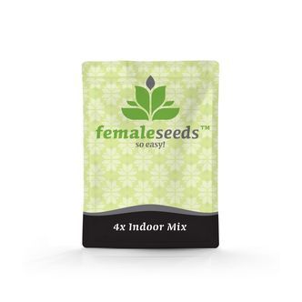 Indoor Mix (Female Seeds) feminisoidut