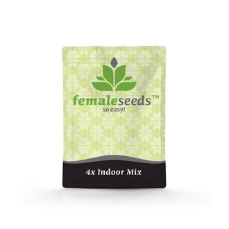 Indoor Mix (Female Seeds) Feminisoidut