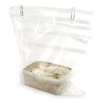 Zamnesia SUPREME -grow kit 'B+'