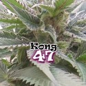 Kong 47 (Dr. Underground) Feminisoidut