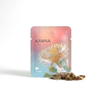 Kanna (Sceletium tortuosum) 10 siement&auml;