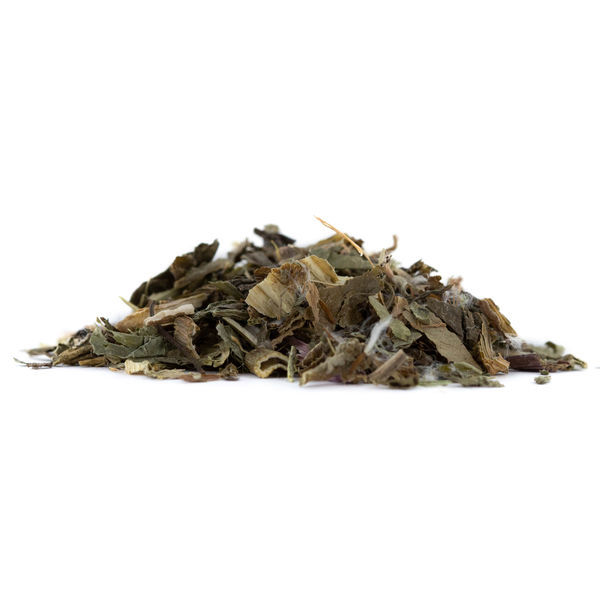 Myrkkysalaatti (Lactuca virosa)