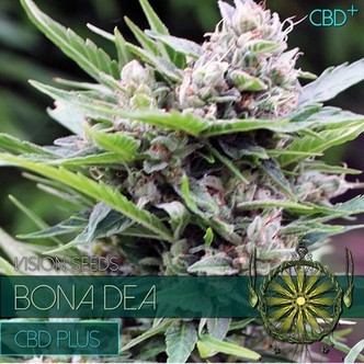 Bona Dea (Vision Seeds) feminisoitu