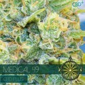 Medical 49 (Vision Seeds) Feminisoidut