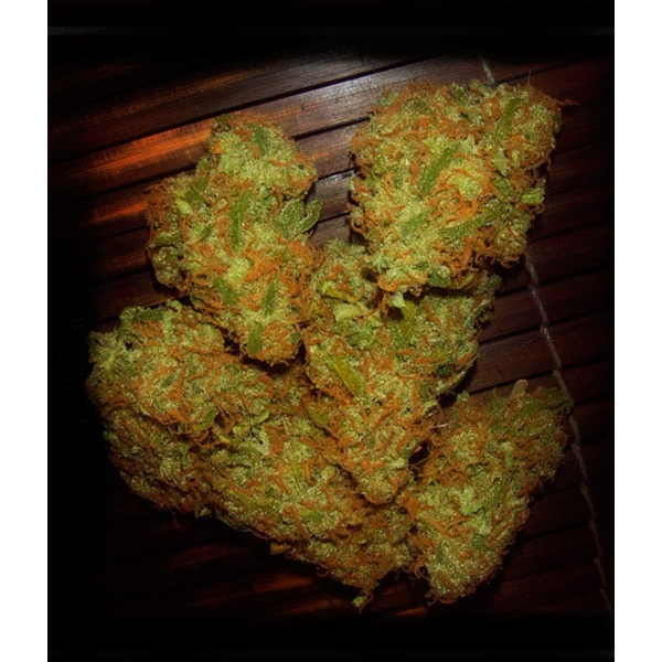 Amnezia VIP (VIP Seeds) Feminisoidut