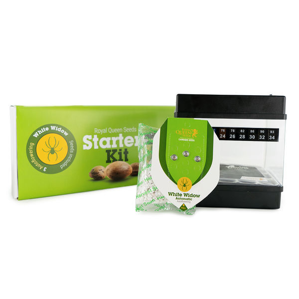 Royal Queen Seeds -aloituspakkaus