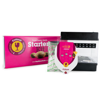 Royal Queen Seeds -aloituspakkaus