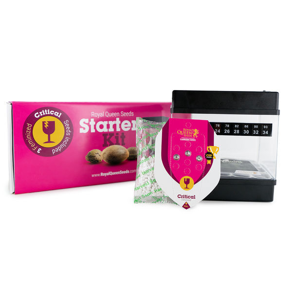Royal Queen Seeds -aloituspakkaus