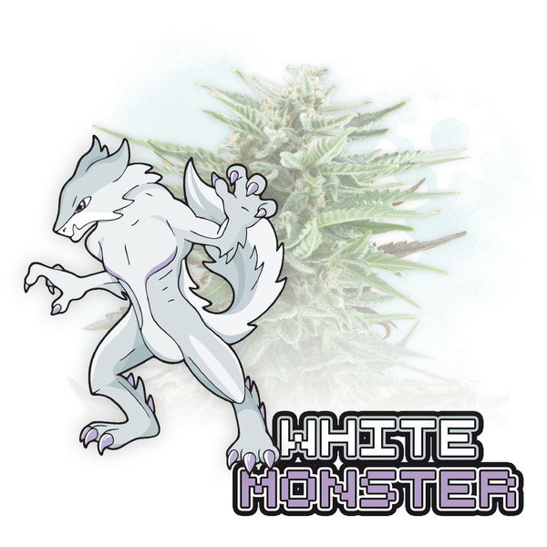 White Monster Autoflower (Zamnesia Seeds) Feminisoidut