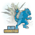 Blue Monster Autoflower (Zamnesia Seeds) Feminisoidut