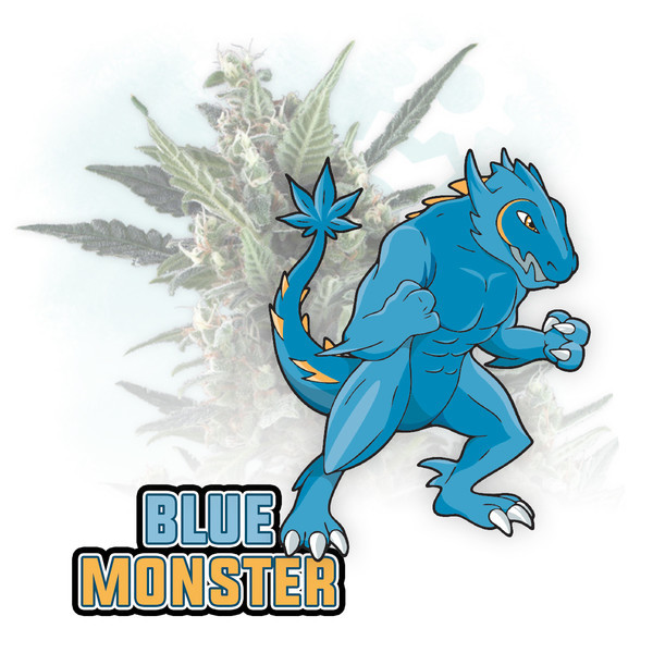 Blue Monster Autoflower (Zamnesia Seeds) Feminisoidut