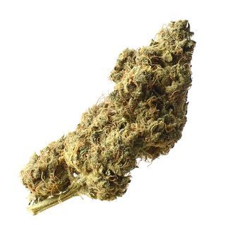 White Choco Haze (Amsterdam Genetics) Feminisoidut