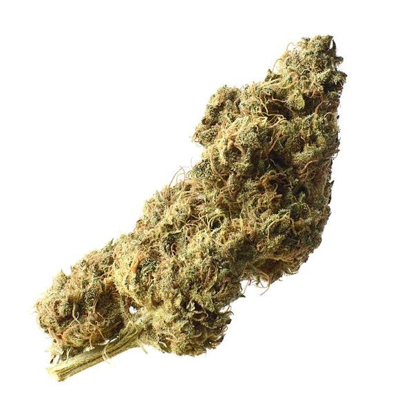 White Choco Haze (Amsterdam Genetics) Feminisoidut