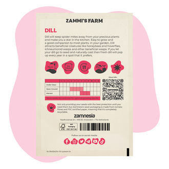 Tilli (Anethum graveolens) Buddy Pack
