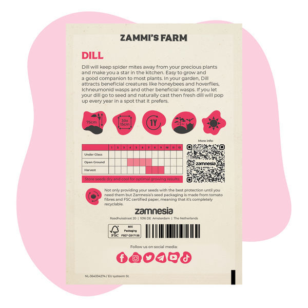 Tilli (Anethum graveolens) Buddy Pack