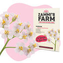 Siankärsämö (Achillea millefolium) Buddy Pack