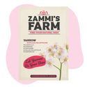 Siankärsämö (Achillea millefolium) Buddy Pack
