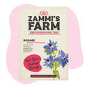Purjojenkarhiaisyrtti (Borago officinalis) Buddy Pack
